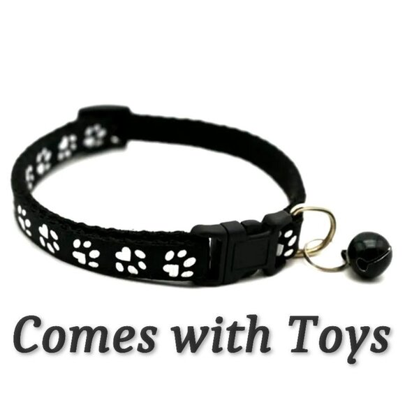 Colorful Favorites Other - Sweet Heart Paw Print Black Cat Collar with Bell and Toys Gift Package